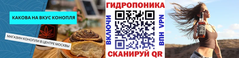 Купить  Камешково  Canna-Cookies конопля 