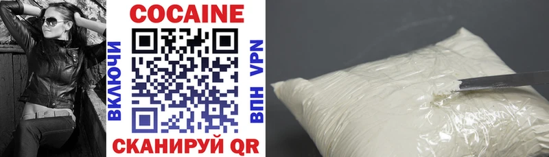 COCAIN FishScale  Купить закладки  Камешково 