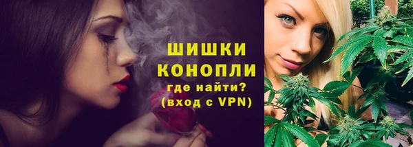 крисы Заводоуковск