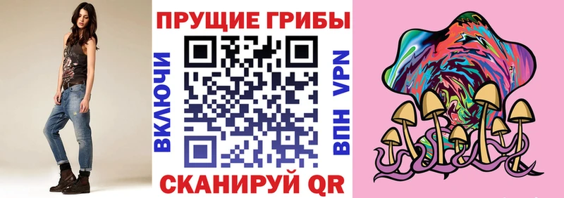 Купить где  Камешково  Галлюциногенные грибы Magic Shrooms 